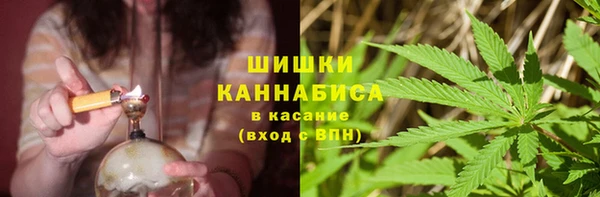 ПСИЛОЦИБИНОВЫЕ ГРИБЫ Армянск