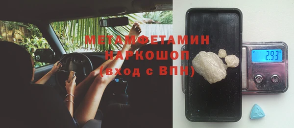 трава Аркадак